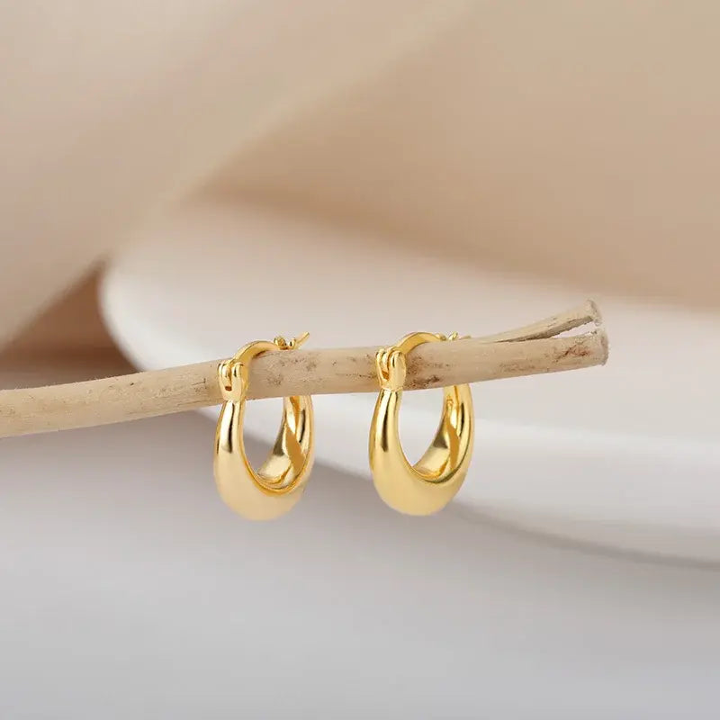 Radiant Glamour Earrings (European wide variety)