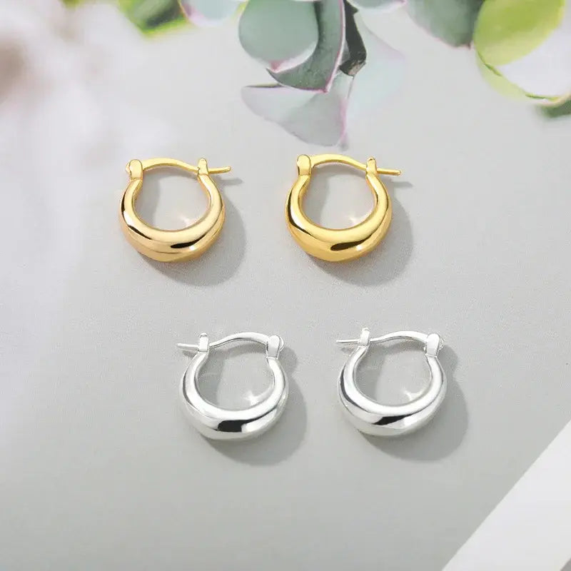 Radiant Glamour Earrings (European wide variety)