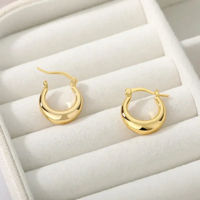 Radiant Glamour Earrings (European wide variety)